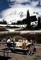 family at Mt. Rainier