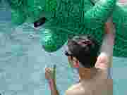 Kory and the aligator